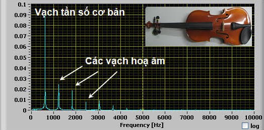 Sóng âm và những kiến thức cơ bản | Sóng âm và những kiến thức cơ bản