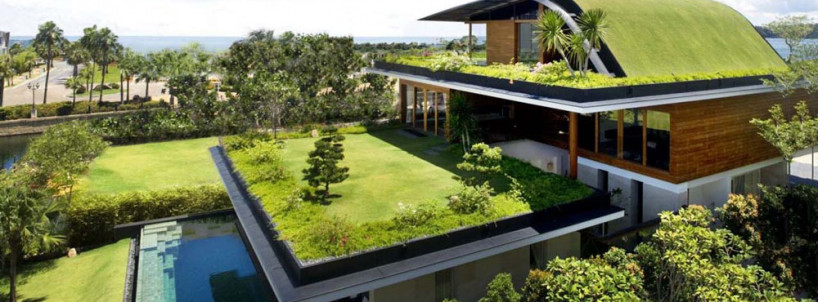 Green roof (khu vườn trên mái) – giải pháp cách âm cách nhiệt hiệu quả, bền vững, gần gũi với thiên nhiên