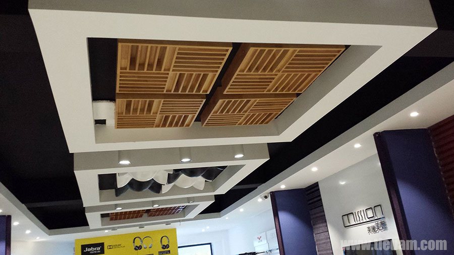 Remak™ D30 Diffuser 2