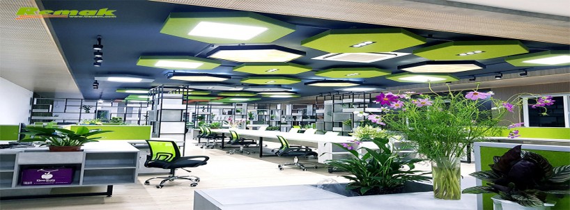 Thiết kế văn phòng xanh - Xu hướng mới của các doanh nghiệp