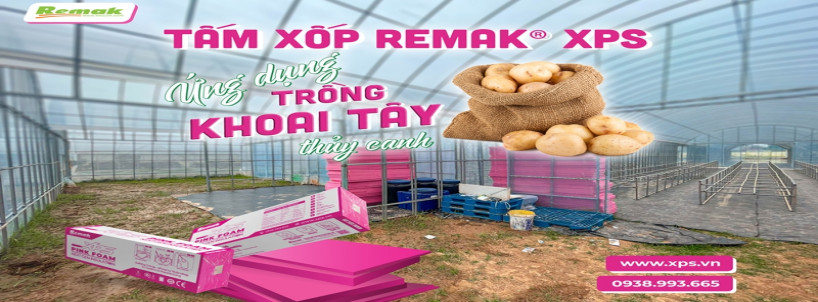 Viện Khoa học Nông nghiệp Việt Nam dùng tấm xốp Remak® XPS trồng thủy canh khoai tây