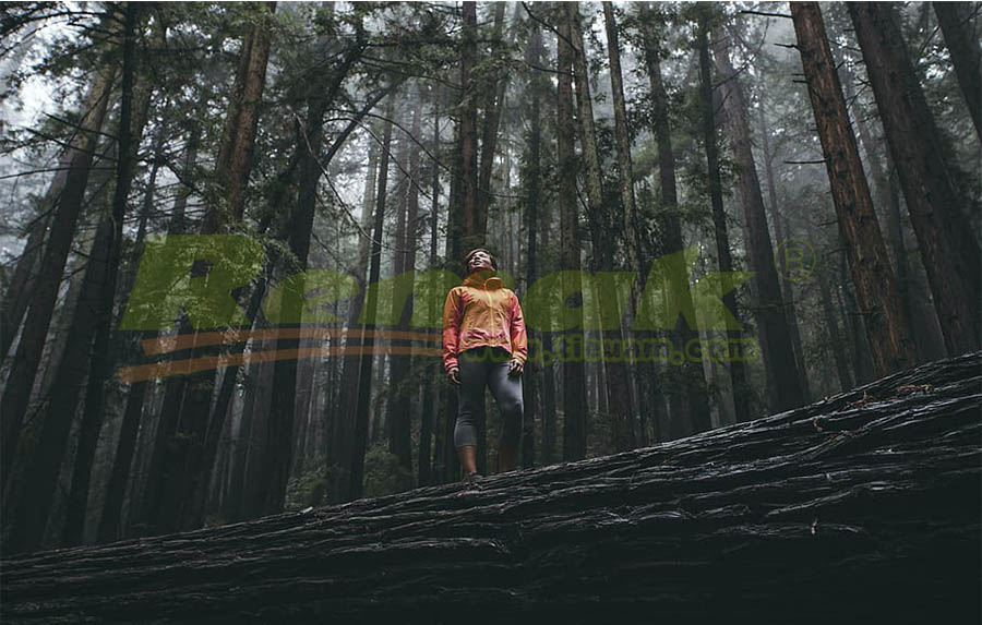 cach-am-chan-am-hay-hap-thu-am-thanh