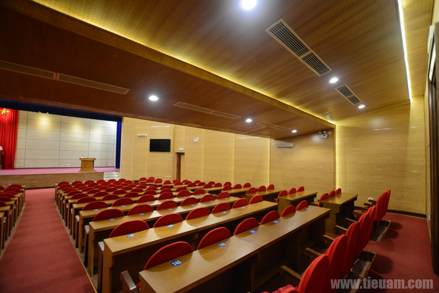 hoitruong_socson_12